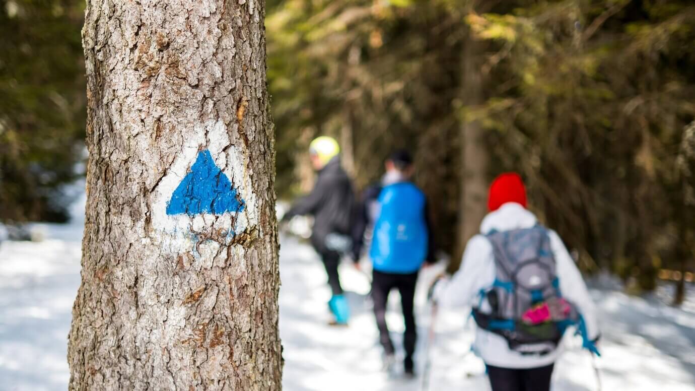 Esquí travesía de montaña